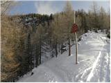 Planina Zajavornik - Debela peč